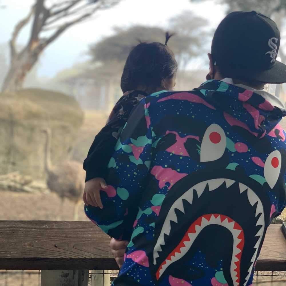 Meet your Posher, Joey